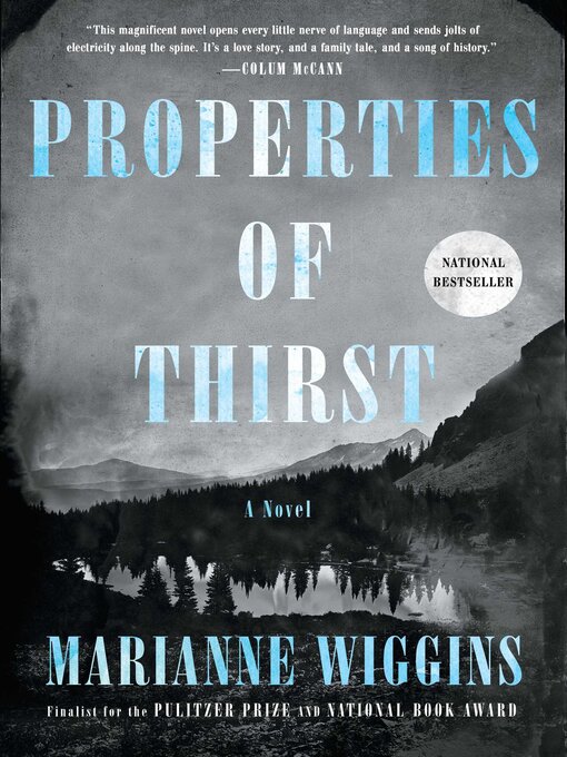 Title details for Properties of Thirst by Marianne Wiggins - Wait list